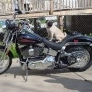 Meet your Posher, Watson